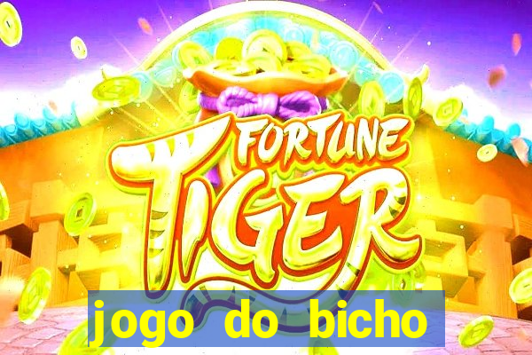 jogo do bicho documentario globoplay